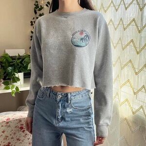 Brandy Melville Gray Natives of the Golden Coast Sweatshirt